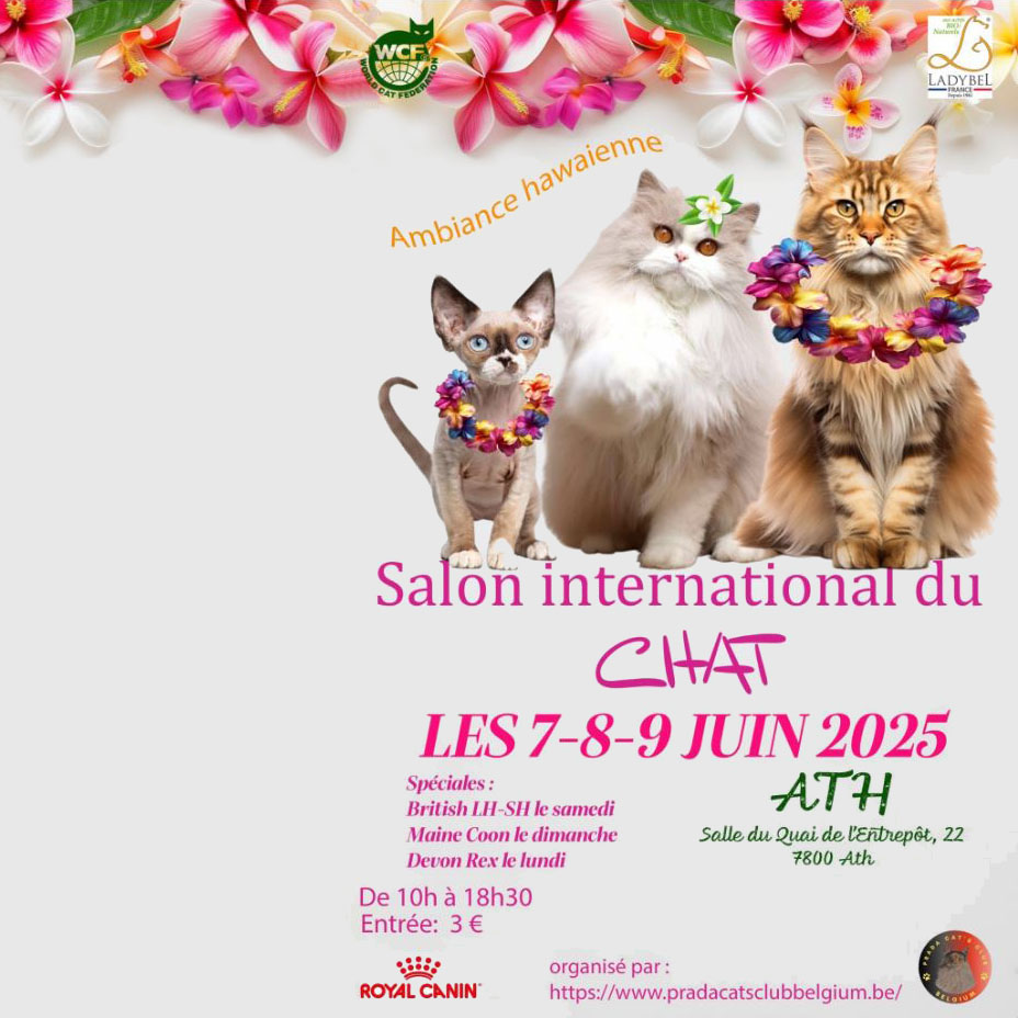 8 - 6au9 juin Ath