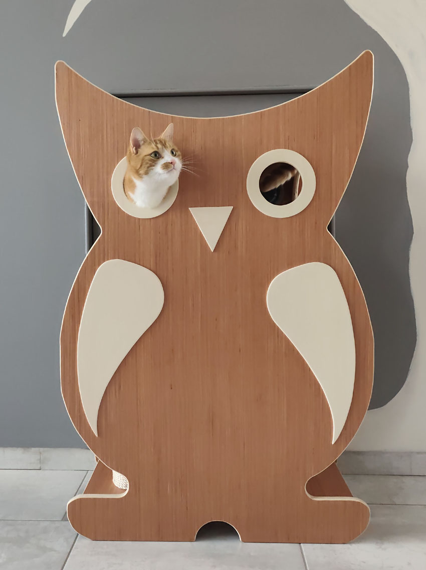hibou1