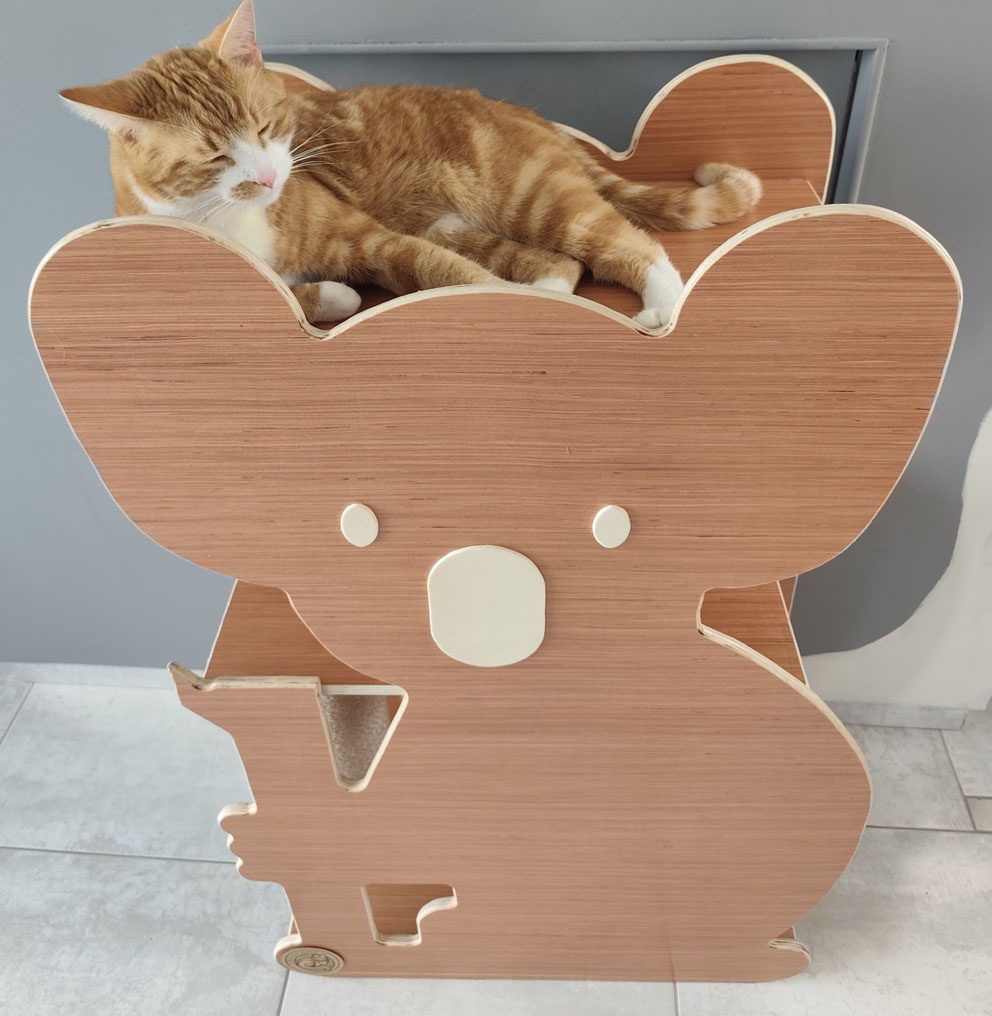koala1