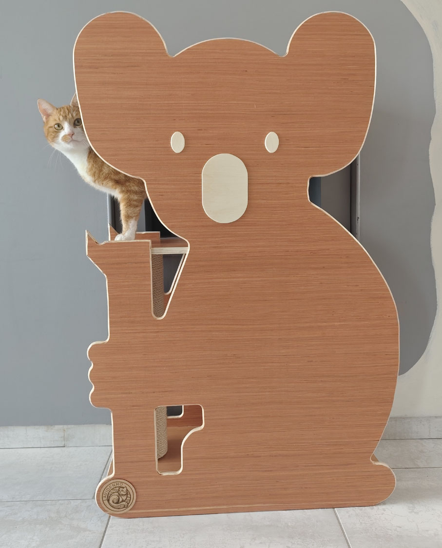 koala5