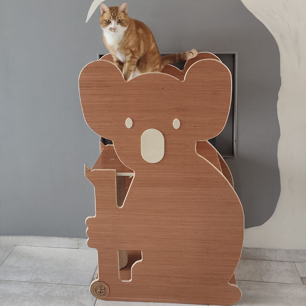 koala8