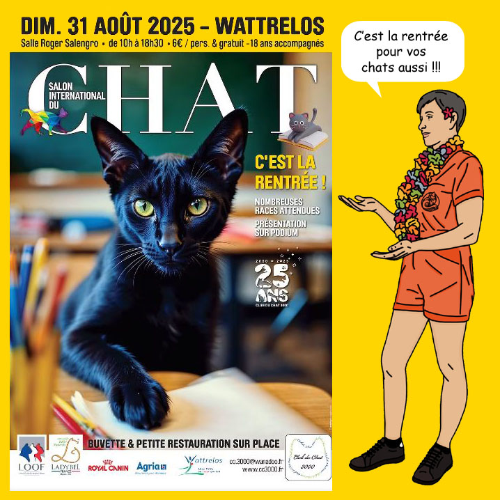 13 - 31 août Wattrelos
