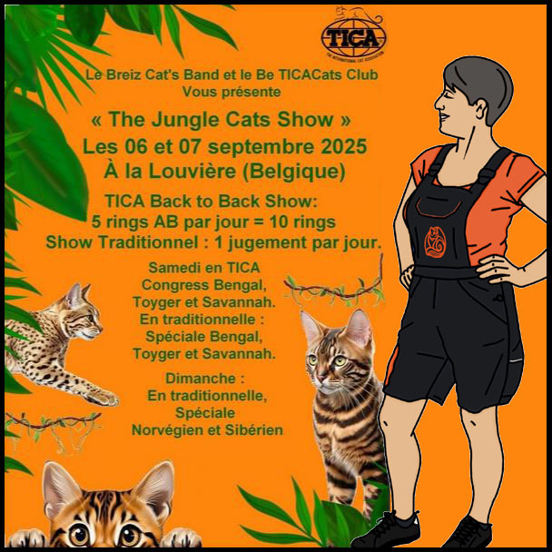 affiche evenement