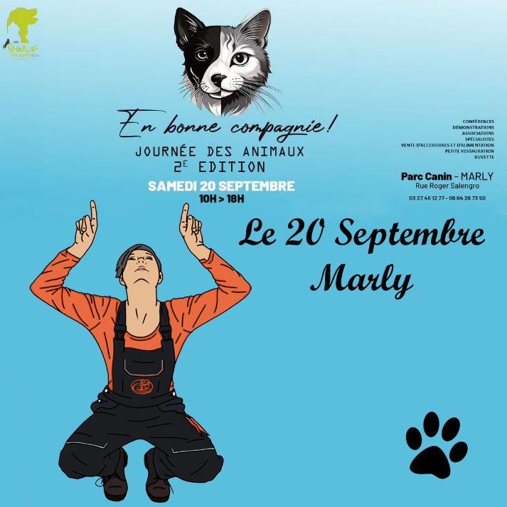 affiche 20 septembre