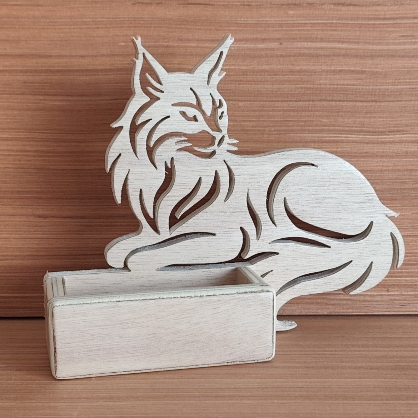 Portes cartes chat coloré